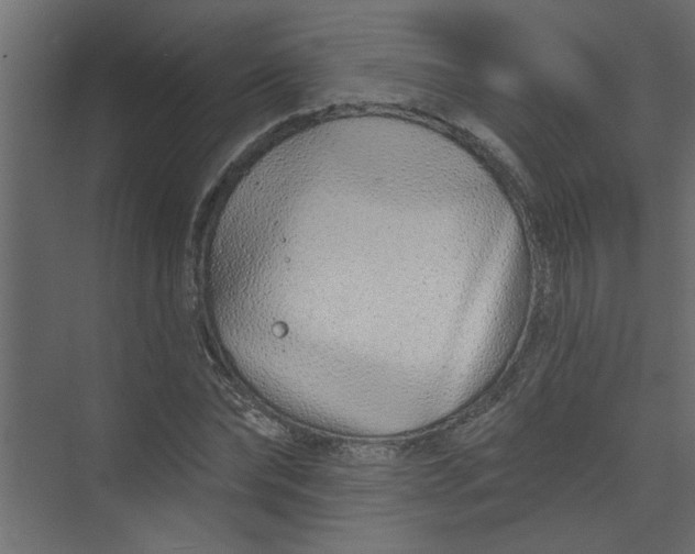 X0000073460878200608181302