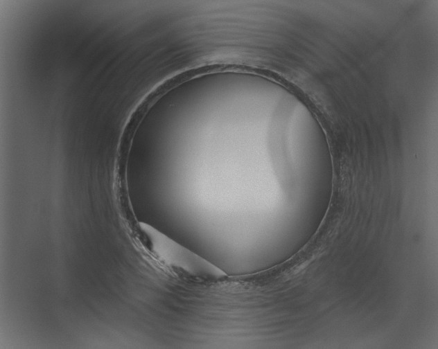 X0000073460880200608181302