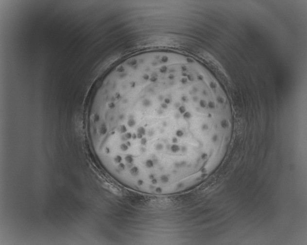 X0000073460882200608181302