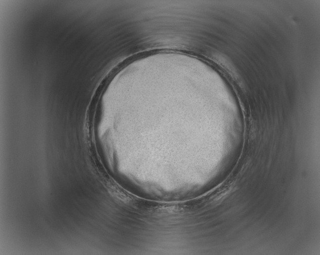 X0000073460883200608181302