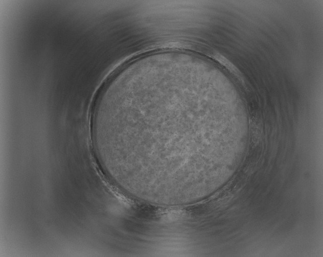 X0000073460886200608181302