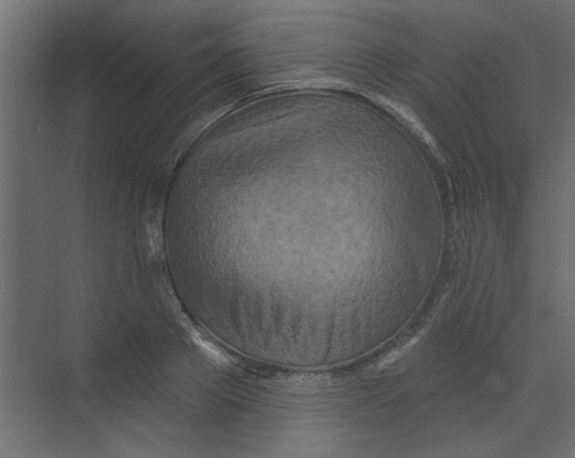 X0000073460889200608181302