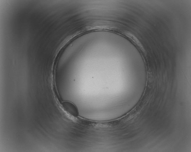 X0000073460890200608181302