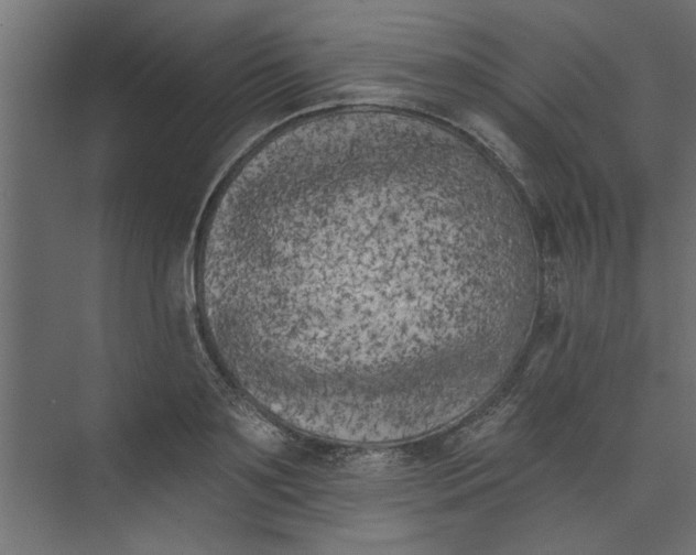 X0000073460891200608181302