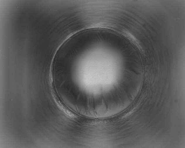 X0000073460892200608181302