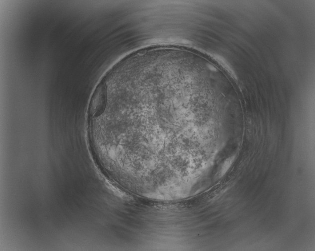 X0000073460895200608181302