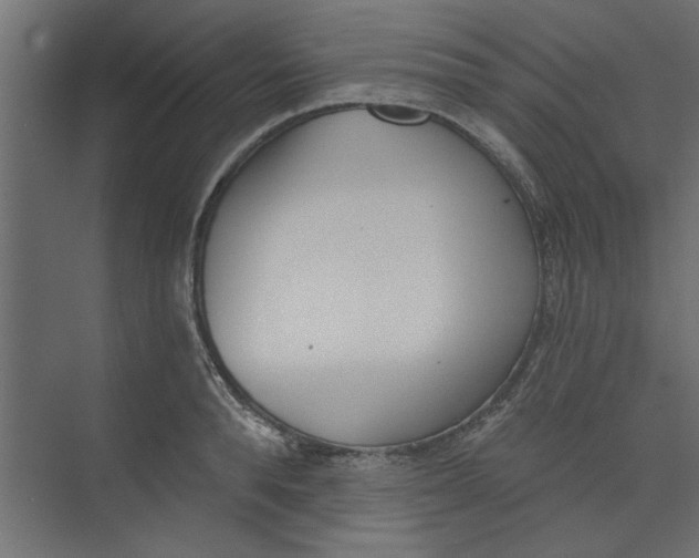 X0000073460896200608181302