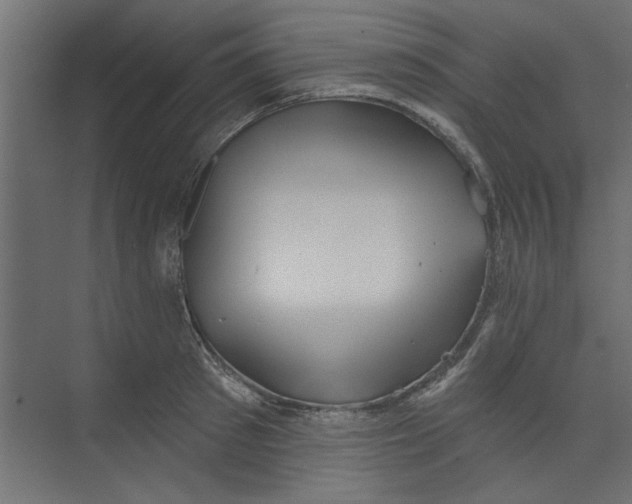 X0000073460897200608181302