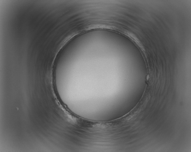 X0000073460898200608181302