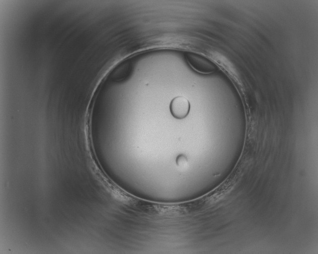 X0000073460899200608181302