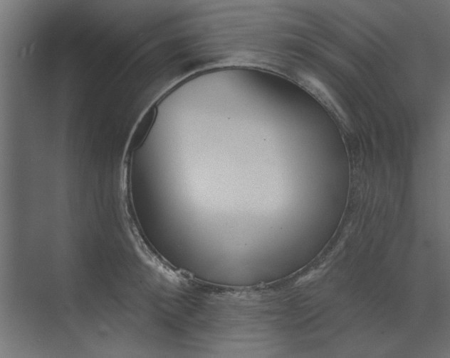 X0000073460900200608181302