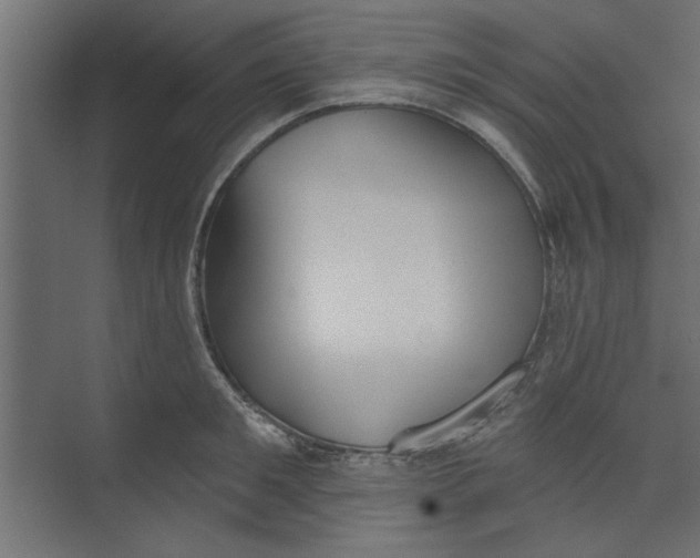 X0000073460901200608181302