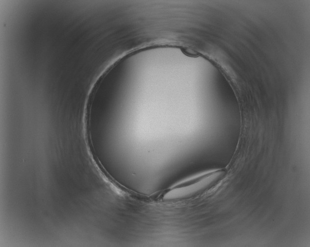 X0000073460902200608181302