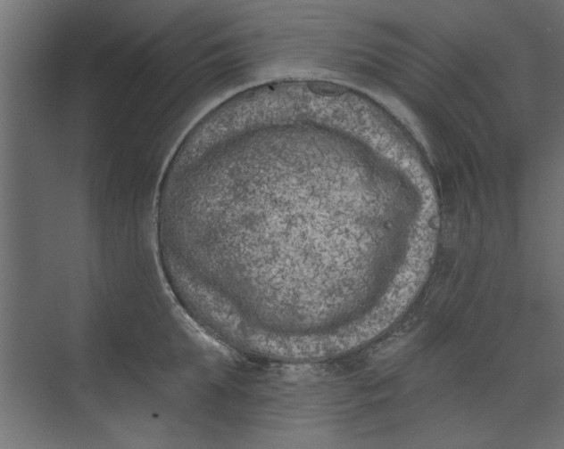 X0000073460903200608181302