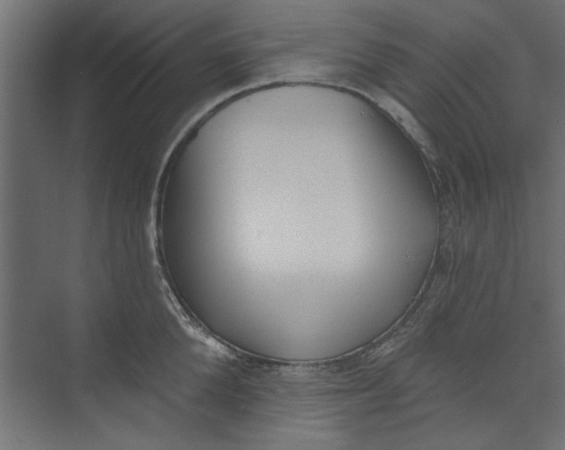 X0000073460904200608181302