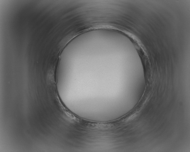 X0000073460905200608181302