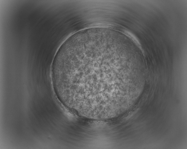 X0000073460907200608181302