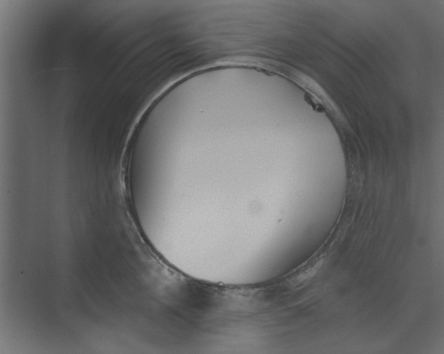 X0000073460908200608181302