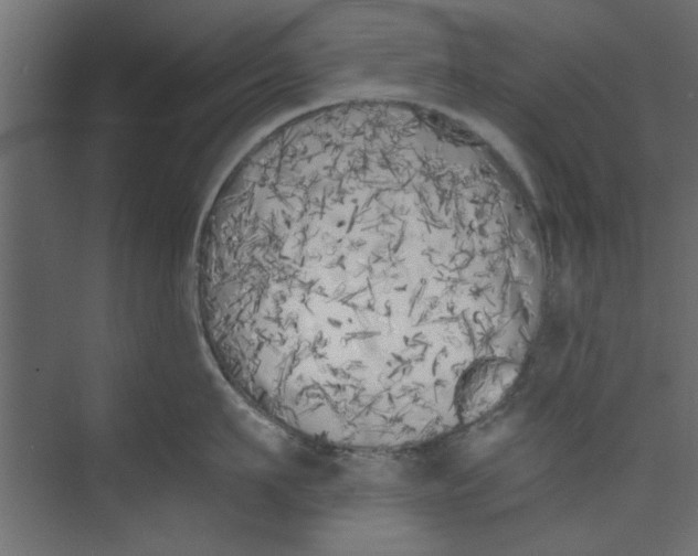 X0000073460911200608181302