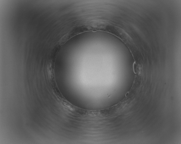 X0000073460915200608181301