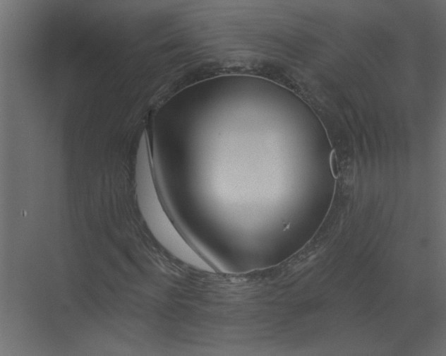 X0000073460916200608181301