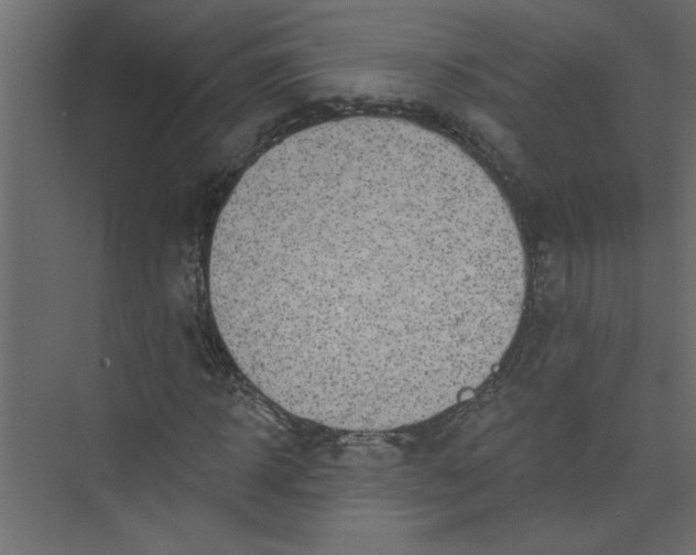 X0000073460918200608181301