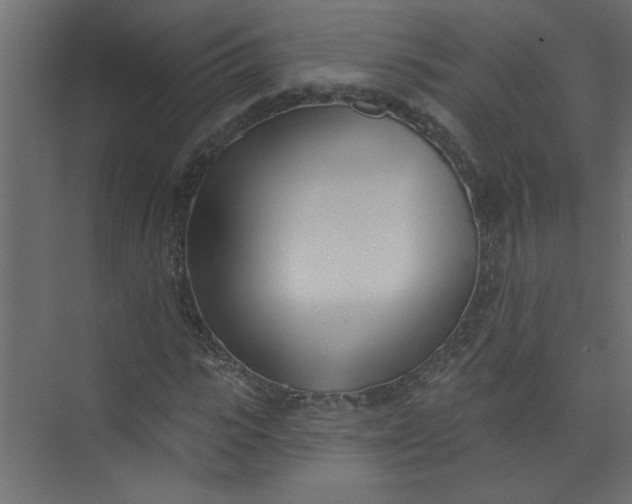 X0000073460919200608181301