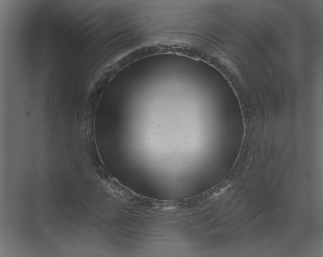 X0000073460920200608181301