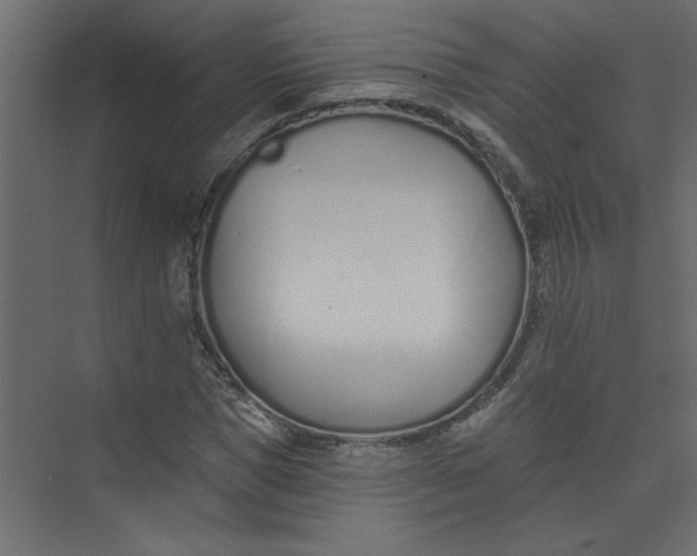 X0000073460921200608181301