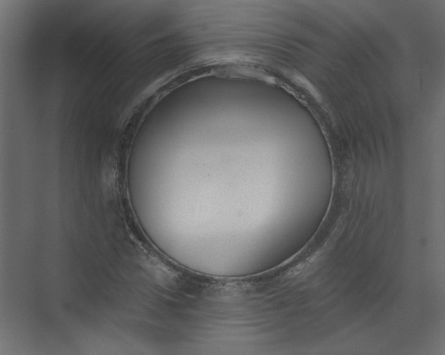 X0000073460922200608181301