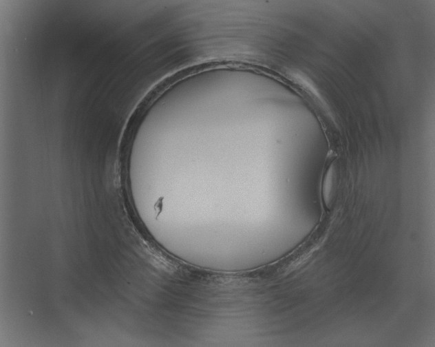 X0000073460924200608181301