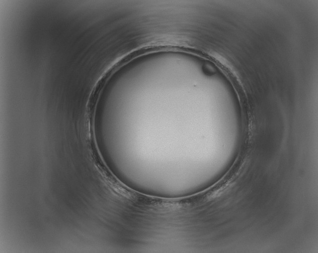 X0000073460925200608181301