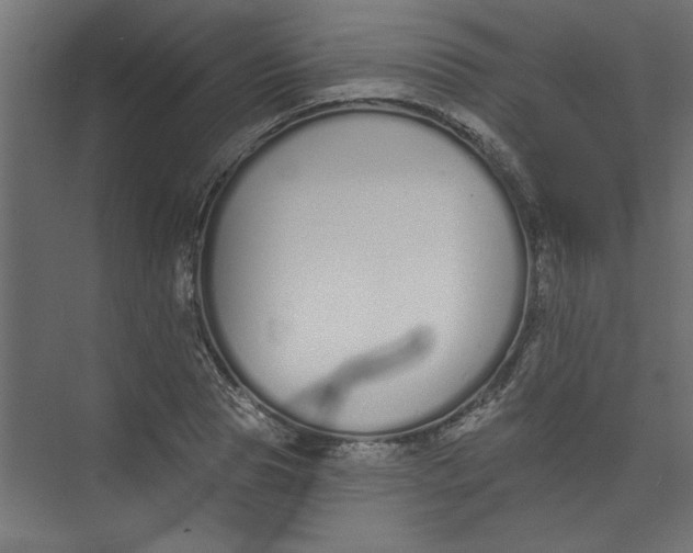 X0000073460929200608181301