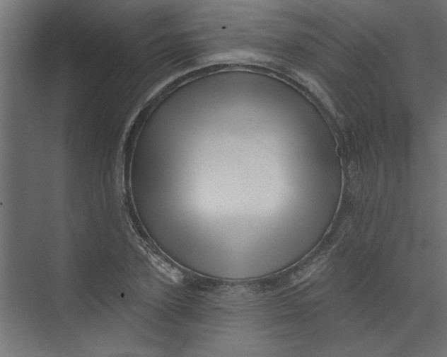 X0000073460931200608181301