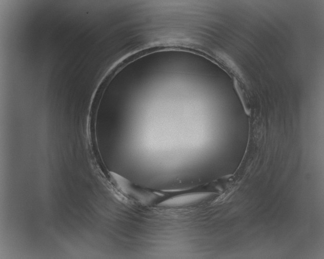 X0000073460932200608181301