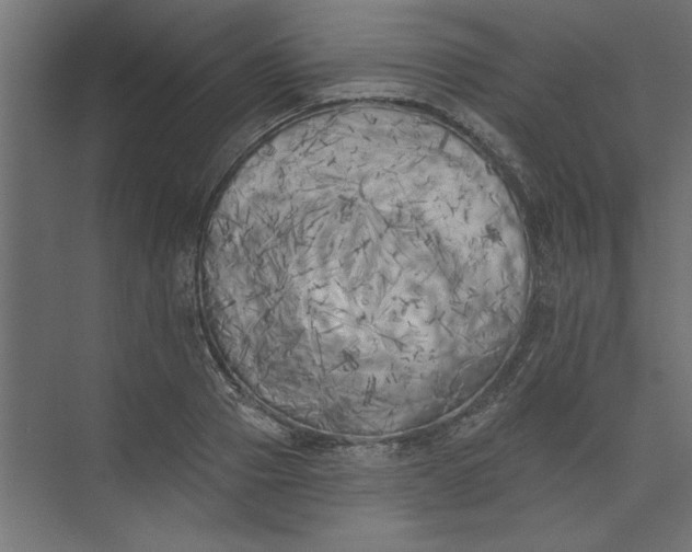 X0000073460937200608181301