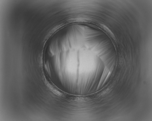 X0000073460938200608181301