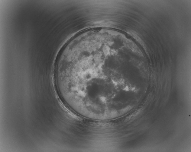 X0000073460941200608181301