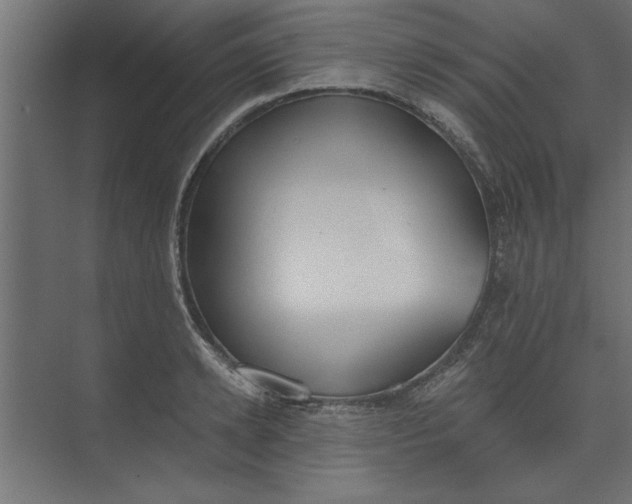 X0000073460942200608181301