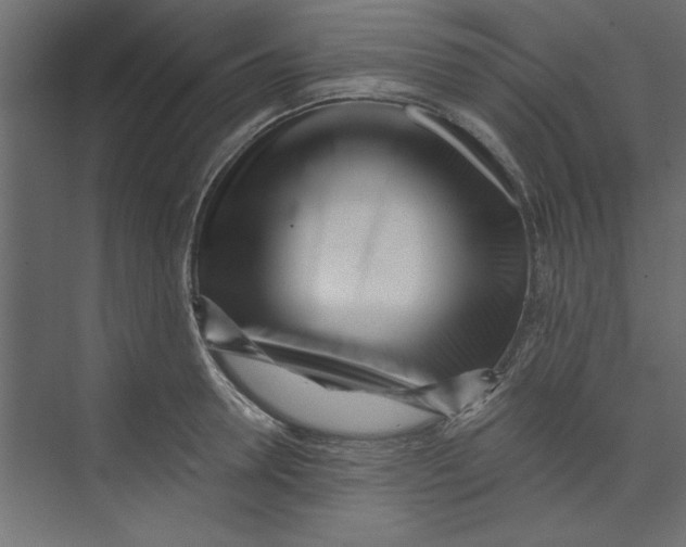 X0000073460946200608181301