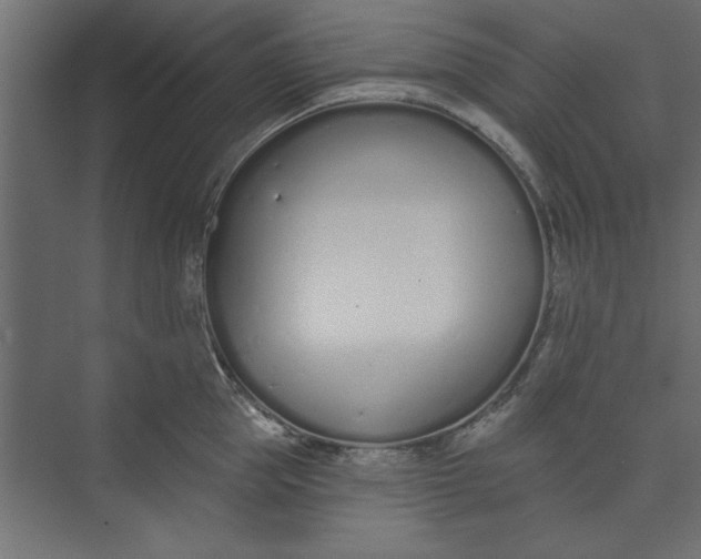 X0000073460953200608181302