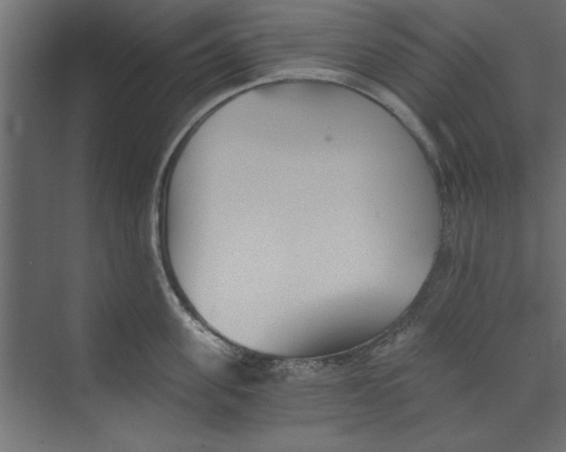 X0000073460955200608181302