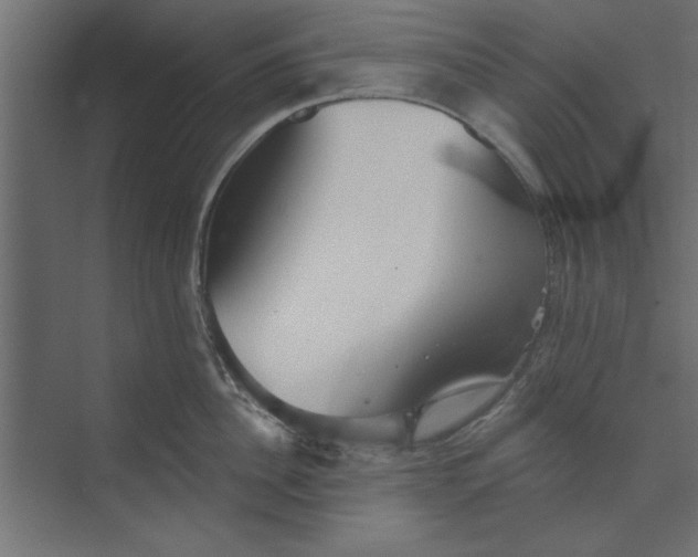 X0000073460956200608181302