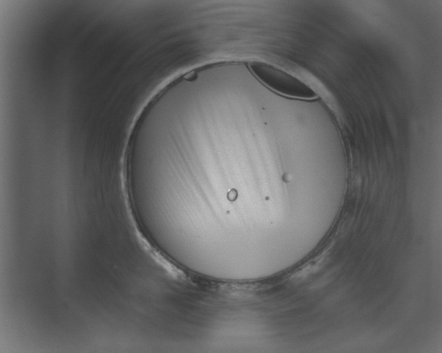 X0000073460958200608181302