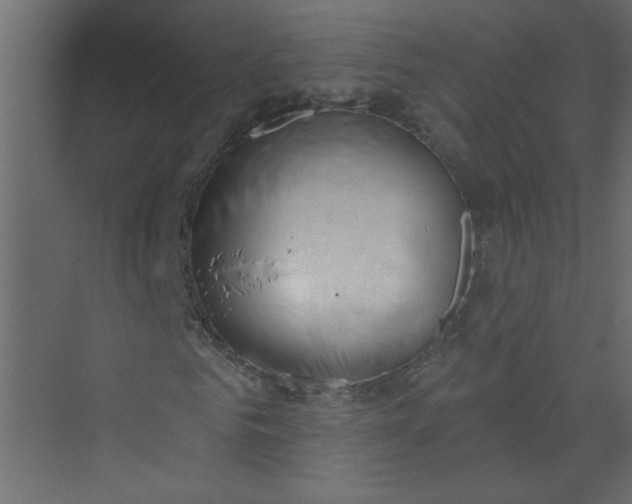 X0000073460961200608181301