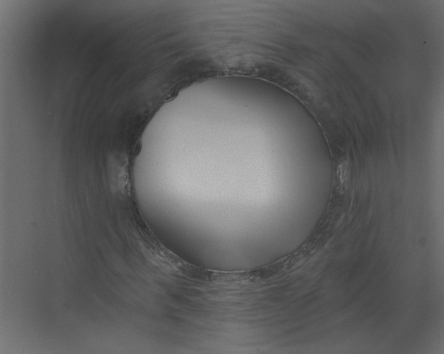 X0000073460963200608181301