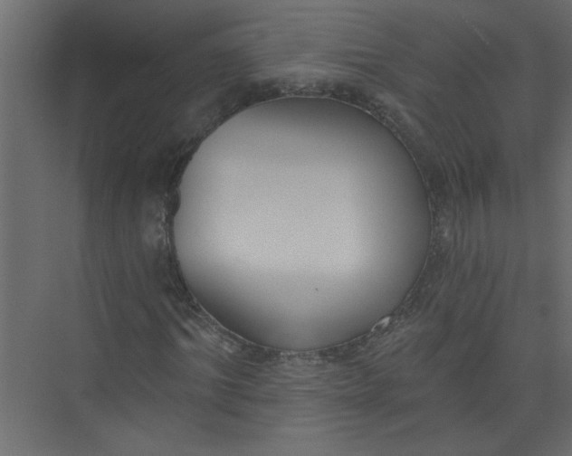 X0000073460964200608181301