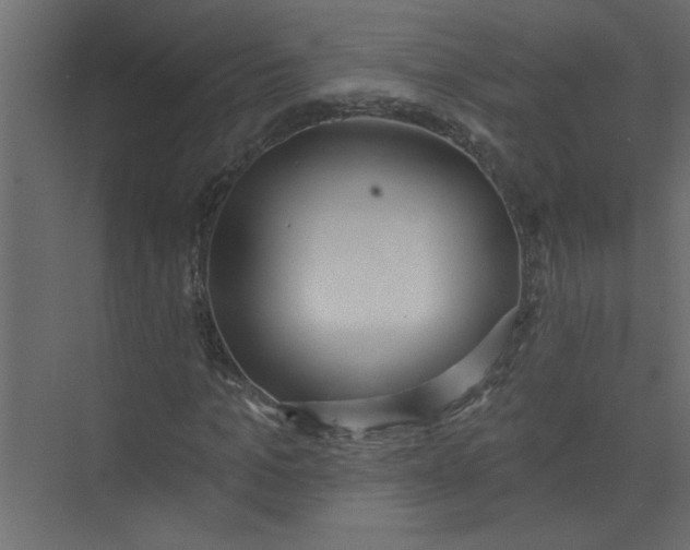 X0000073460965200608181301