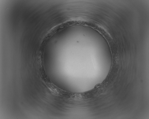 X0000073460968200608181301