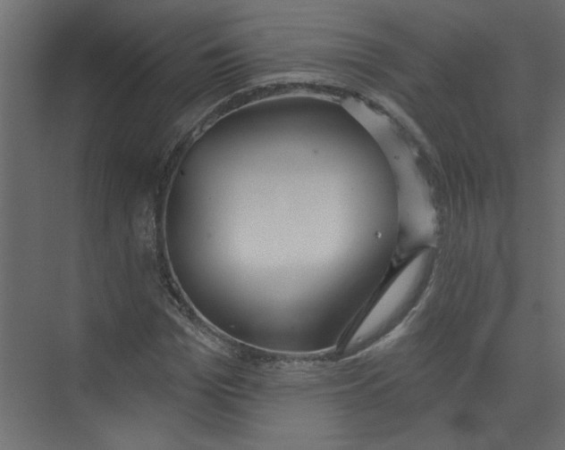 X0000073460969200608181301